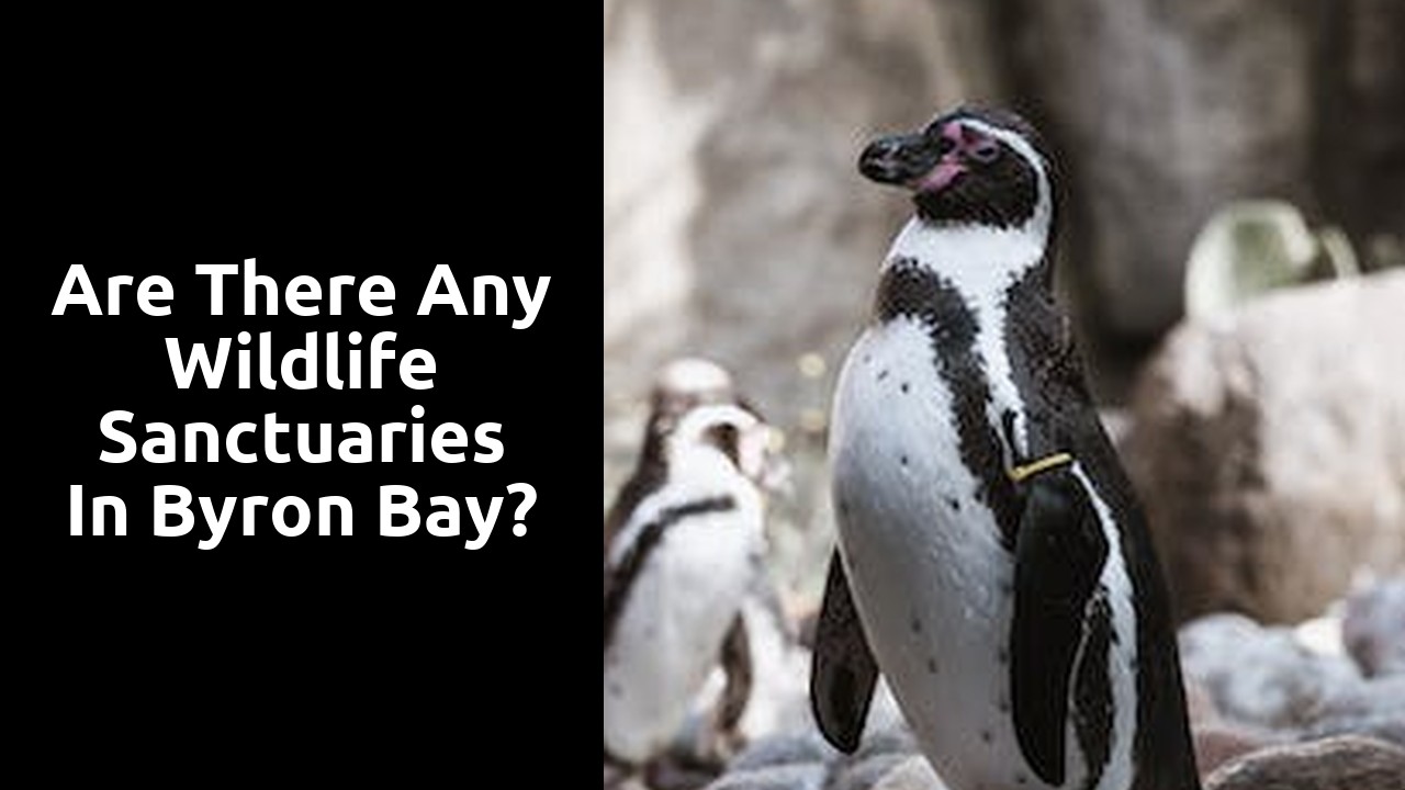 Are there any wildlife sanctuaries in Byron Bay?