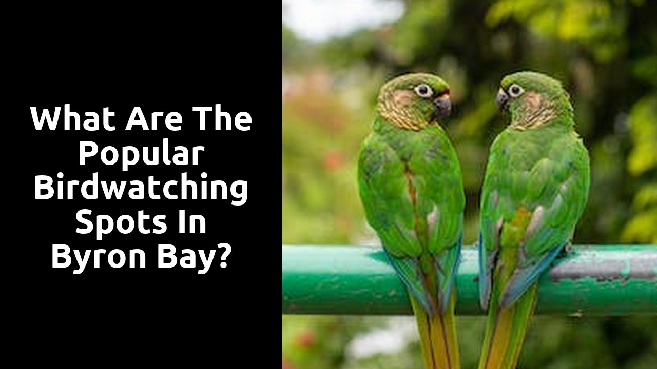 What are the popular birdwatching spots in Byron Bay?