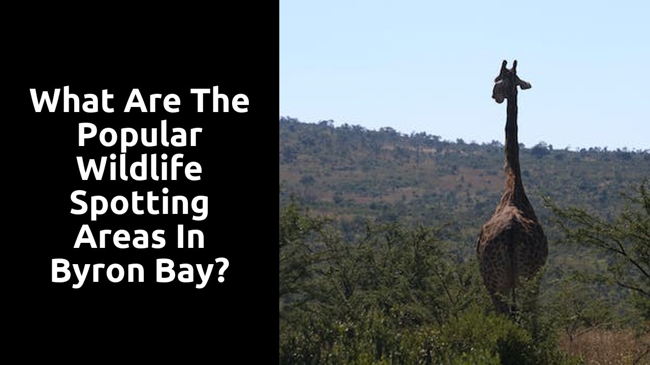 What are the popular wildlife spotting areas in Byron Bay?