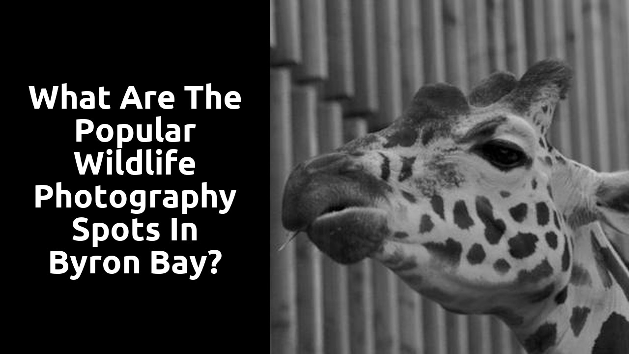 What are the popular wildlife photography spots in Byron Bay?